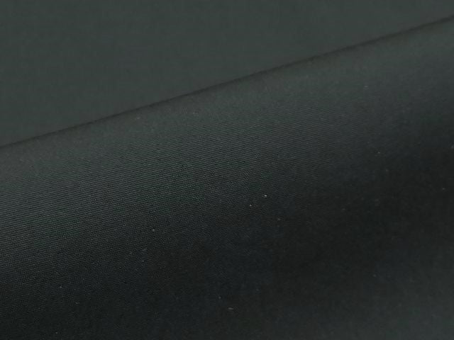 平和屋本店●極上　男性　黒紋付・長羽織セット　キングサイズ　羽裏：風景文　逸品　CZAA5515s6
