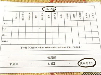 平和屋着物◎両面　六通柄袋帯　紅白梅　金銀糸　正絹　逸品　BAAW8779yc
