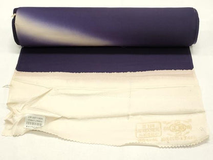 平和屋着物▼付下げ 反物 着尺 短冊吉祥草花文 暈し染め 金彩 未使用 DABD4654zy