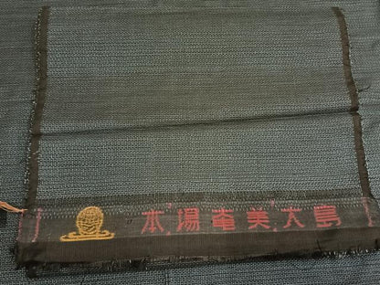 平和屋着物●男性　本場大島紬　アンサンブル　100亀甲　総詰め　反端付き　正絹　逸品　AABH0891fy