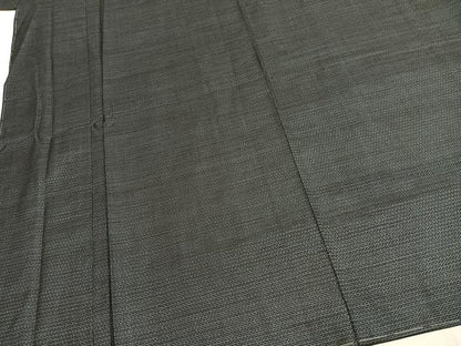 平和屋着物●男性　本場大島紬　アンサンブル　100亀甲　総詰め　反端付き　正絹　逸品　AABH0891fy
