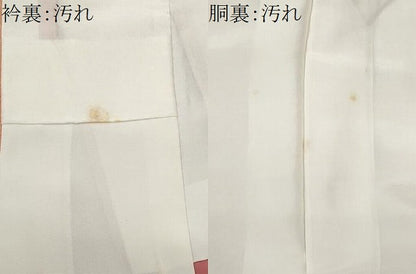 平和屋着物■江戸小紋　鮫小紋柄　正絹　逸品　CABE6289fb