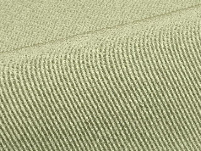 平和屋着物■上質な色無地 夏虫色 正絹 逸品 CABE4270ou