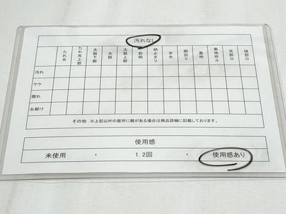 平和屋着物◎六通柄袋帯　孔雀羽文　金銀糸　正絹　逸品　CABF1054fb