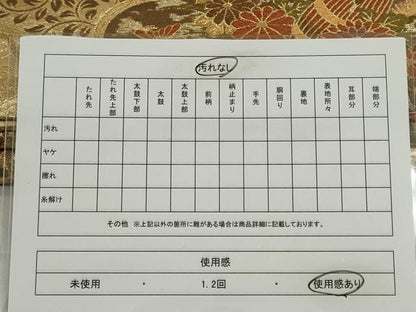 平和屋着物◎六通柄袋帯 唐織 雲取り花鼓文 金銀糸 正絹 逸品 CABE4332ou