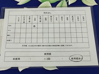 平和屋着物◎塩瀬 九寸名古屋帯 手描き 草花文 金彩 正絹 逸品 AABH7888wj