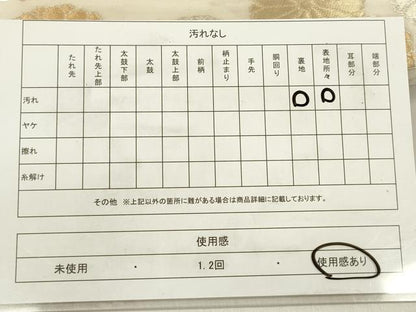 平和屋着物◎六通柄袋帯 唐織 菊桐芝文 金銀糸 正絹 逸品 DABF0024ea