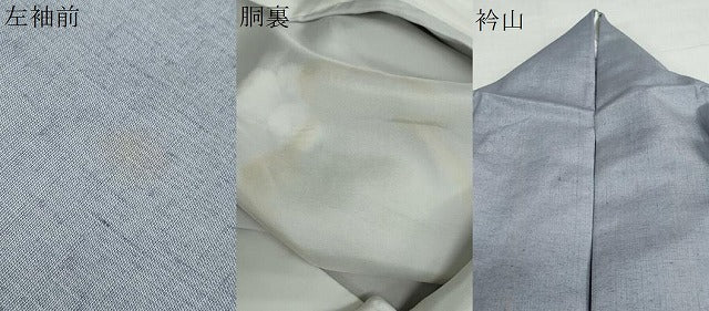 平和屋着物●訪問着　作家物　紬地　草花文　暈し染め　正絹　逸品　DABF1208ud