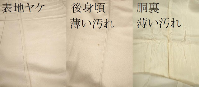 平和屋着物■訪問着 菱草花文 正絹 逸品 CABG2186ze