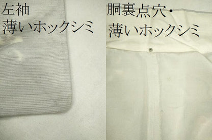平和屋着物■上質な紬 舞蝶文 正絹 逸品 CABG2172ze