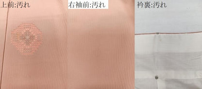平和屋着物■色留訪問着　ドロンワーク　吉祥文　正絹　逸品　CABG6941xi