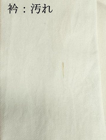 平和屋着物■長襦袢　袷　絞り　舞梅文　正絹　逸品　DABF9538cd