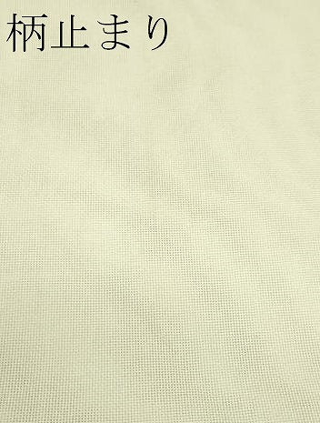 平和屋着物＊夏物 六通柄袋帯 秋草文 銀糸 正絹 逸品 CABG7462rv