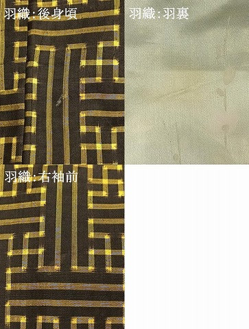 平和屋着物●本場大島紬　龍郷絣　秋名バラ　アンサンブル　正絹　逸品　AABI9075fy