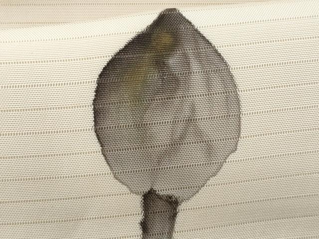平和屋着物＊夏物　塩瀬　九寸名古屋帯　作家物　手描き　蓮　金彩　正絹　逸品　CABG9900fb
