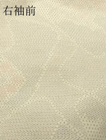 平和屋着物▽本塩沢　単衣　110亀甲　やまだ織　草花文　証紙付き　正絹　逸品　DABF8897sf