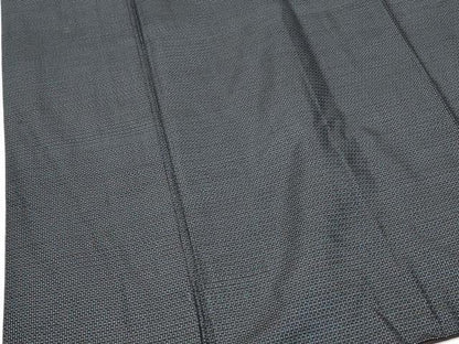 平和屋着物■男性　本場大島紬　アンサンブル　100亀甲　総詰め　正絹　逸品　DABG6761cd