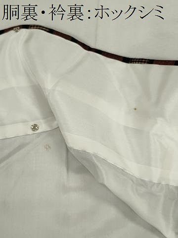 平和屋着物■上質な紬　琉球絣文様　正絹　逸品　CABH1082ou