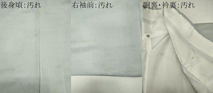 平和屋着物■豪華色留袖　花車文　暈し染め　銀彩　正絹　逸品　CABH1012ou