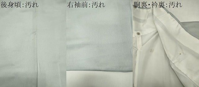 平和屋着物■豪華色留袖　花車文　暈し染め　銀彩　正絹　逸品　CABH1012ou