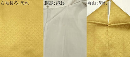 平和屋着物■訪問着　唐子遊び　金彩　正絹　逸品　CABH1011ou