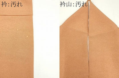 平和屋着物■江戸小紋　鮫小紋柄　洗える着物　CABH1026ou
