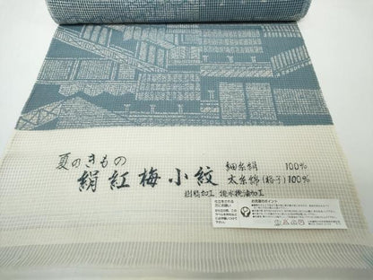 平和屋着物●極上　夏物　小紋・浴衣兼用　反物　着尺　絹紅梅　抽象文　逸品　未使用　DZAA12183kh6