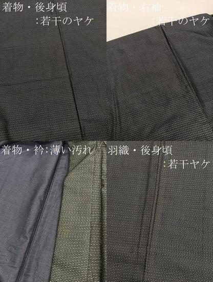 平和屋着物■男性　本場大島紬　アンサンブル　80亀甲　総詰め　正絹　逸品　BAAX2845hv