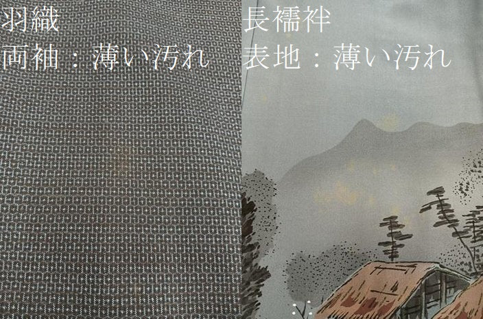 平和屋着物■男性　本場大島紬　アンサンブル　襦袢セット　100亀甲　総詰め　正絹　逸品　BAAX5751mz