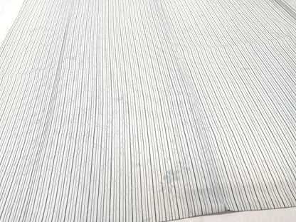 平和屋着物＊夏物　小紋　捩り織　縞花文　蜻蛉　正絹　逸品　CABI3741xi
