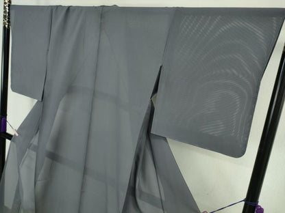 平和屋本店＊極上　夏物　京都祇園の老舗　ぎをん齋藤　色無地・長襦袢セット　絽　藍墨茶色　たとう紙付き　逸品　未使用　DZAB6316kh6