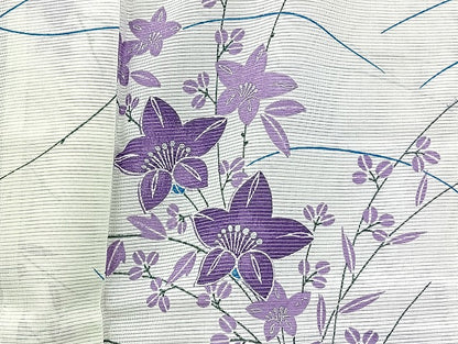 平和屋着物■夏物 小紋 絽 紗 洗える着物 まとめて20点 蝶 菖蒲 花柄 暈し染め 銀彩 着用可能多数 mmm1177