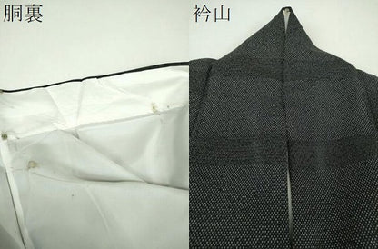 平和屋着物●白鷹お召　130亀甲　横段文　正絹　逸品　DABG8579ps