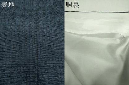 平和屋着物●本塩沢　110亀甲　間道　正絹　逸品　DABG8599ps