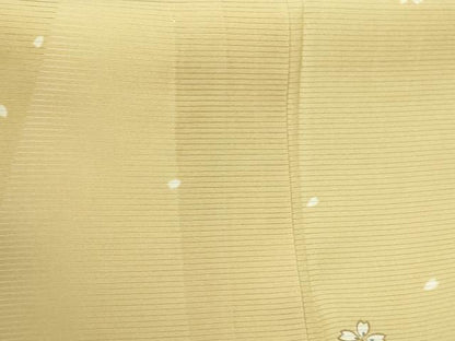 平和屋着物＊夏物　小紋　絽　舞花文　正絹　逸品　DABG9828sf
