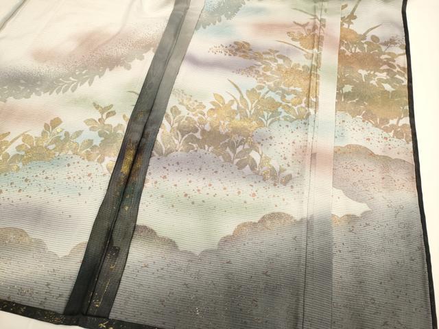 平和屋着物▽訪問着　無双　紗袷　紗×絽　螺鈿箔　草花文　暈し染め　金彩　正絹　逸品　DABH4728du