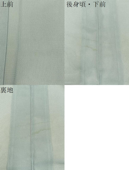 平和屋着物＊夏物　訪問着　絽　枝垂れ柳　暈し染め　銀彩　洗える着物　BAAX6878hj