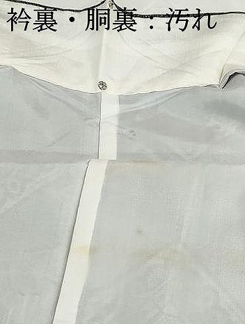 平和屋着物■本場大島紬　割り込み絣　亀甲花菱文　正絹　逸品　DABH8571qa