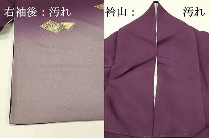 平和屋着物■日本画家　堀信　訪問着　花鳥文箱文　暈し染め　金彩　正絹　逸品　DABH4130qp