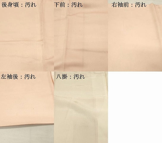平和屋着物■訪問着　文箱枝梅文　牡丹　暈し染め　金彩　正絹　逸品　DABH4090qp