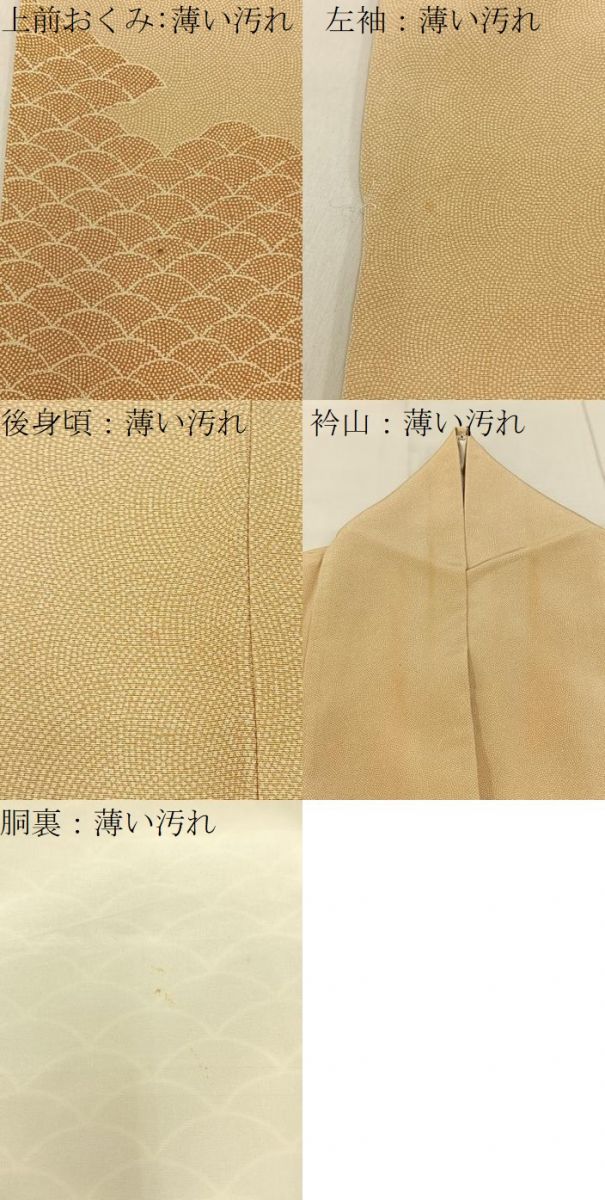 平和屋着物■訪問着　江戸小紋　青海波　鮫小紋柄　正絹　逸品　BAAY3100hj