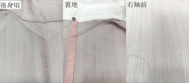 平和屋着物＊夏物　訪問着　紗　手描き　白鷺葡萄蔦の葉文　洗える着物　CABJ4158xi