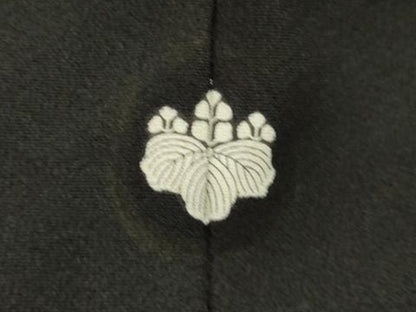 平和屋着物■豪華黒留袖　亀甲花鳥文　正絹　逸品　DABI0909cd