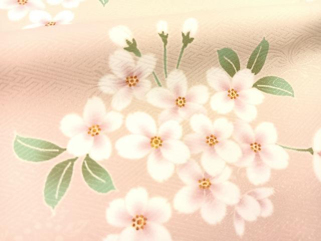平和屋着物●H・L（アッシュエル）　HENRI-LUC CHAPUIS　訪問着　草花文　暈し染め　ロング丈　洗える着物　BAAX9350yc