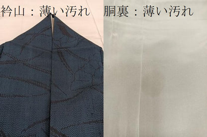 平和屋着物■上質な紬　舞蝶文　正絹　逸品　BAAX8393mz