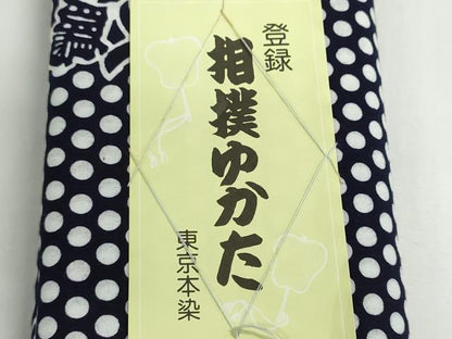 平和屋着物＊夏物　浴衣　反物　着尺　東京本染　四股名　相撲　力士　大鵬　水玉　綿　未使用　DABG9337we