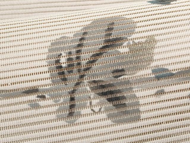 平和屋着物＊夏物　八寸名古屋帯　絽綴れ　作家物　手描き　枝花文　金彩　正絹　逸品　CABJ4690fb