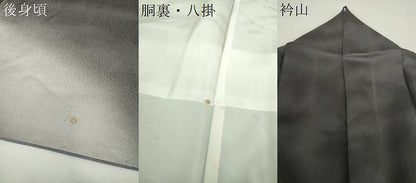 平和屋着物●訪問着　総刺繍　枝垂れ桜　暈し染め　金糸　正絹　逸品　DABH9891ps