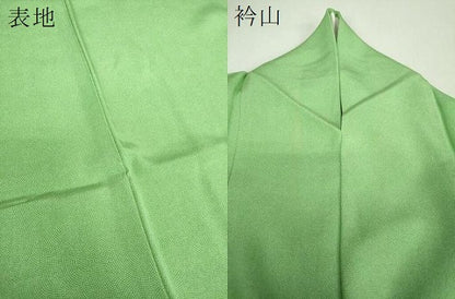 平和屋着物●木下正夫　江戸小紋　鮫小紋柄　正絹　逸品　DABH9753ps