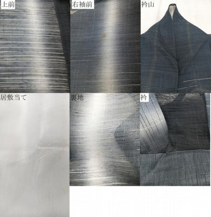 平和屋着物＊夏物　小紋　絽紬　月文様　暈し染め　正絹　逸品　CABJ9788xi